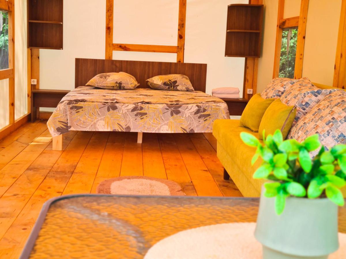 ホテル Divoto Glamping バルチク エクステリア 写真
